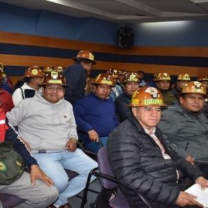 Mineros bolivianos aceptan tributo del 4,8% y cesan protestas |  noticias