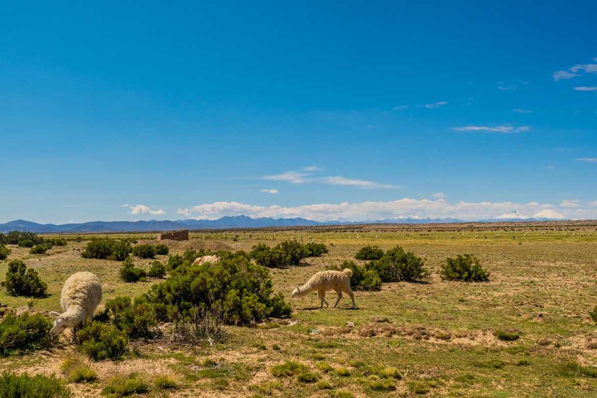 CONADI apoyará a 16 comunidades con la regularización de títulos de agua en la región de Arica y Parinacota