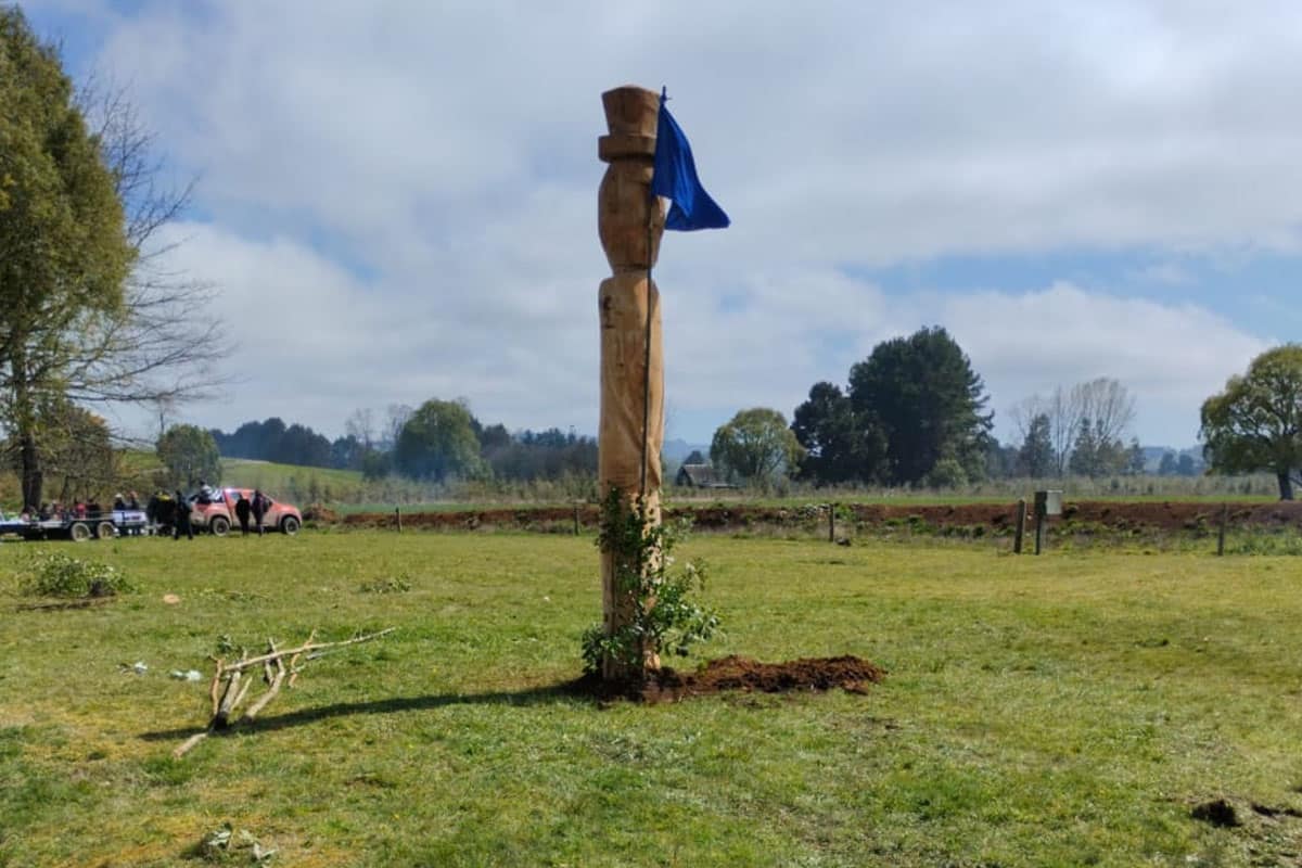 Comunidades mapuche de Paillaco negaron ser representadas por líderes de “toma productiva”