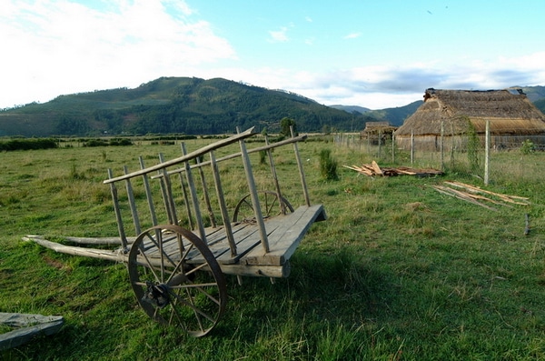 Si el vendedor posee apellido de la etnia mapuche y además adquirió el inmueble en virtud del DL N° 2.695 no puede enajenarlo por tratarse de tierra indígena.