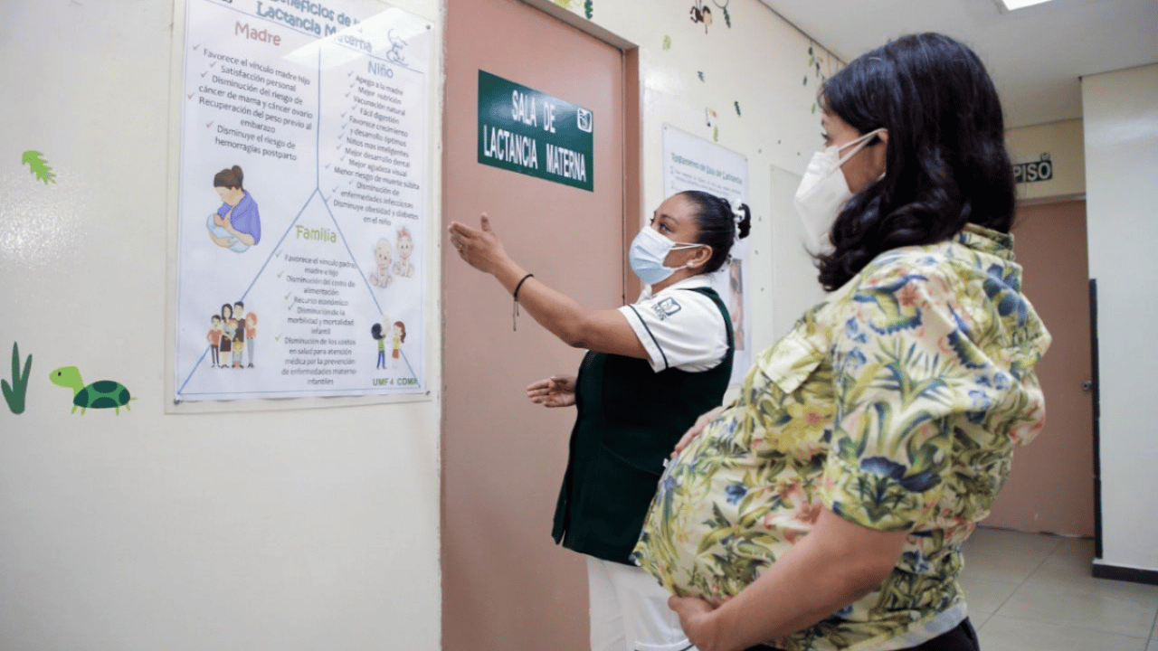 ¿Seguro facultativo de la UV cubre embarazos?  Esto dice el IMSS