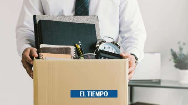 Indemnización Laboral: Conozca las condiciones y los tipos de contrato – Finanzas Personales – Economía