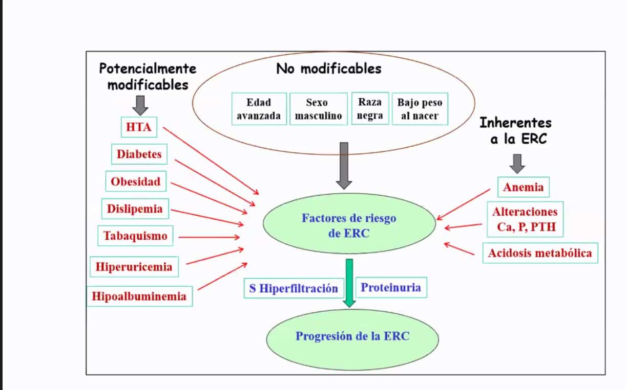 Inicia serie de salud renal